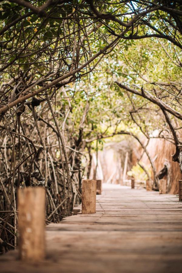 Uman Glamping & Cenote Tulum Hotel Eksteriør billede