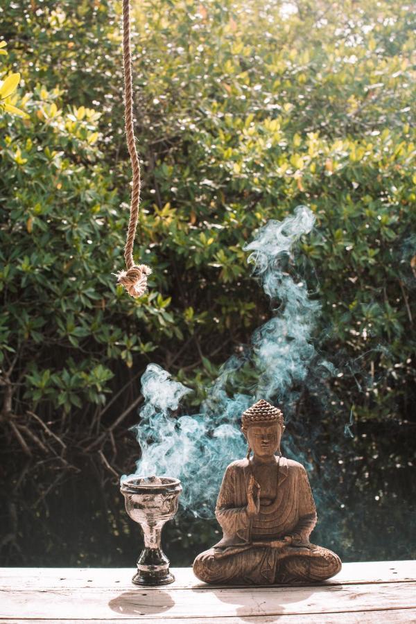 Uman Glamping & Cenote Tulum Hotel Eksteriør billede