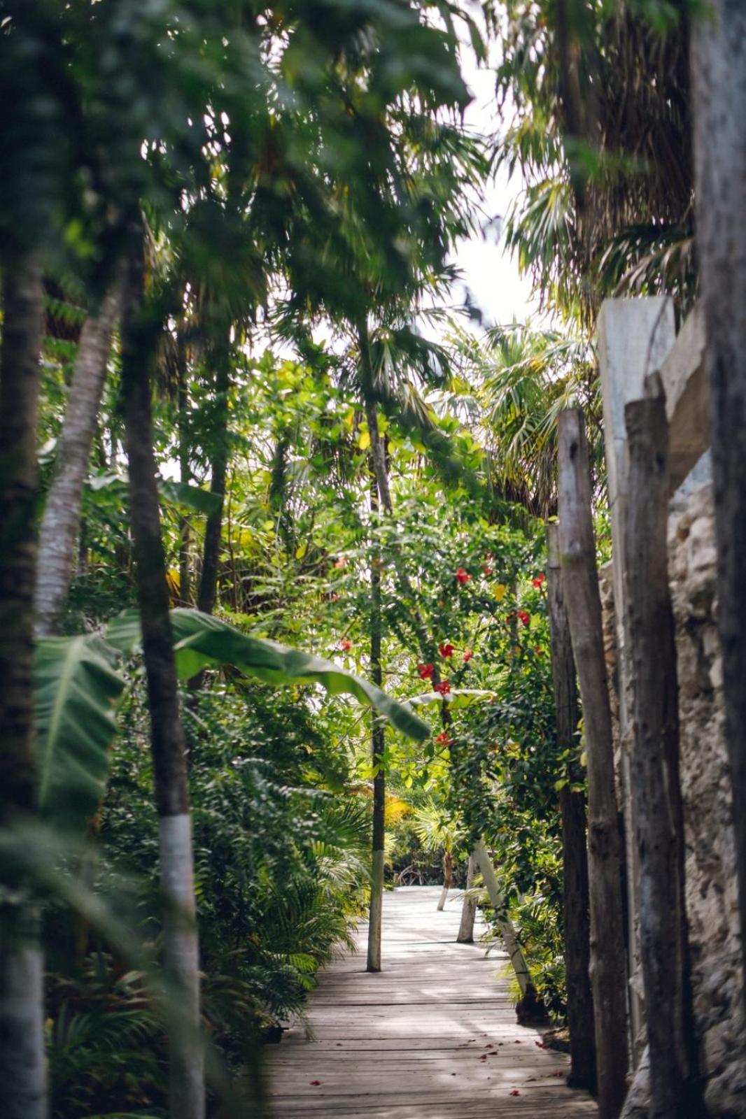 Uman Glamping & Cenote Tulum Hotel Eksteriør billede